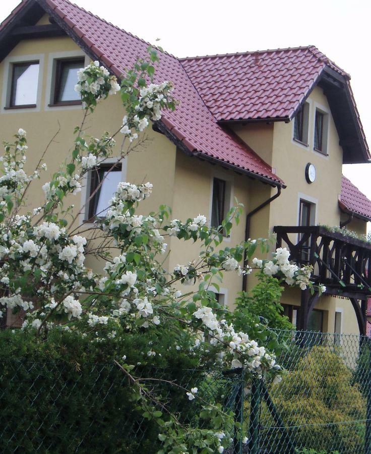 Willa Axla Z Weranda Ogrodem I Parkingiem Kudowa-Zdrój Exterior foto